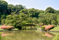 Rikugi-en Garden (jap. 六義園)