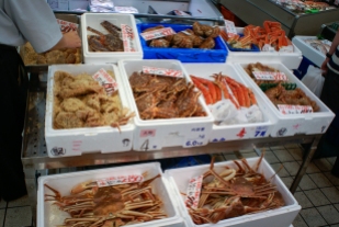 Fischmarkt in Ueno